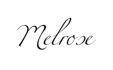 Melrose Responsive Portfolio WordPress Theme