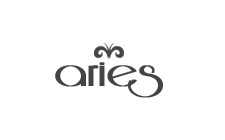 Aries Responsive Business WordPress Theme